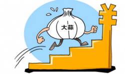怎樣利用大蒜冷庫(kù)進(jìn)行保鮮？